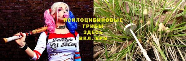 стаф Бронницы