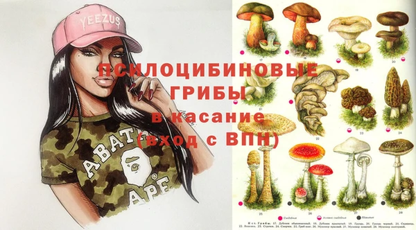 стаф Бронницы