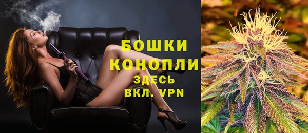 твердый Богородск