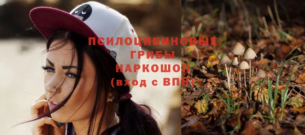 стаф Бронницы