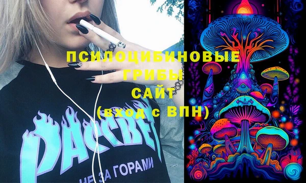 стаф Бронницы