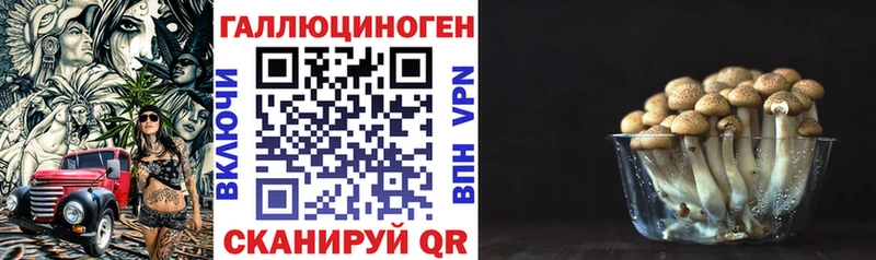 кракен онион Нарткала Псилоцибиновые грибы MAGIC MUSHROOMS